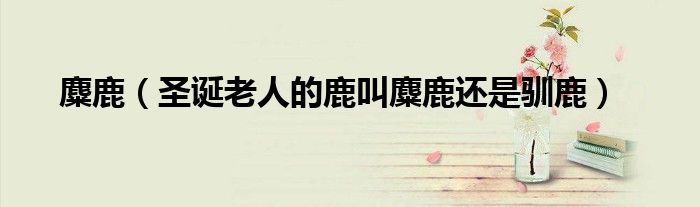 麋鹿（圣誕老人的鹿叫麋鹿還是馴鹿）