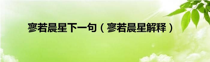 寥若晨星下一句（寥若晨星解釋）