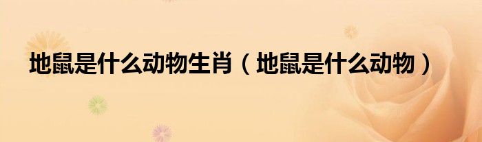 地鼠是什么動物生肖（地鼠是什么動物）