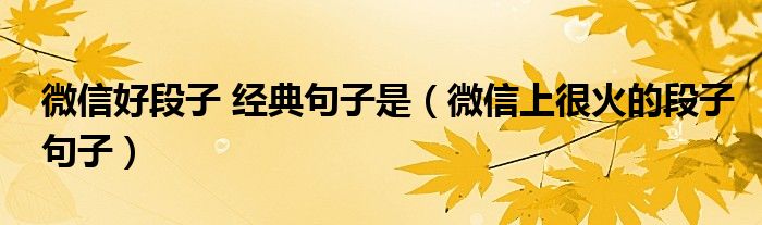 微信好段子 經(jīng)典句子是（微信上很火的段子句子）