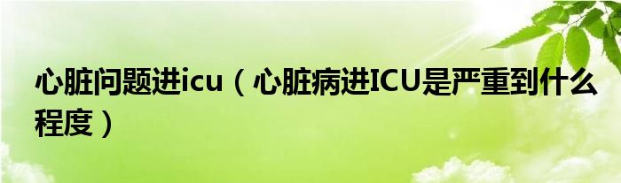 心臟問題進icu（心臟病進ICU是嚴重到什么程度）