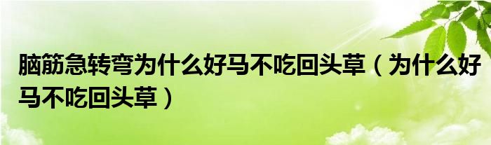 腦筋急轉(zhuǎn)彎為什么好馬不吃回頭草（為什么好馬不吃回頭草）