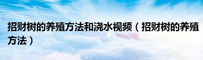 招財樹的養(yǎng)殖方法和澆水視頻（招財樹的養(yǎng)殖方法）