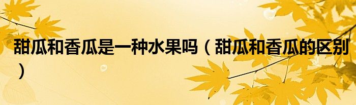 甜瓜和香瓜是一種水果嗎（甜瓜和香瓜的區(qū)別）