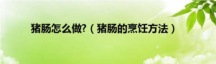 豬腸怎么做?（豬腸的烹飪方法）