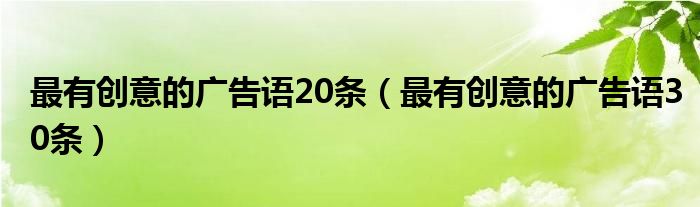 最有創(chuàng)意的廣告語(yǔ)20條（最有創(chuàng)意的廣告語(yǔ)30條）