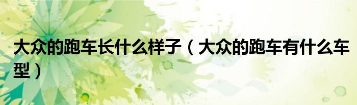 大眾的跑車(chē)長(zhǎng)什么樣子（大眾的跑車(chē)有什么車(chē)型）