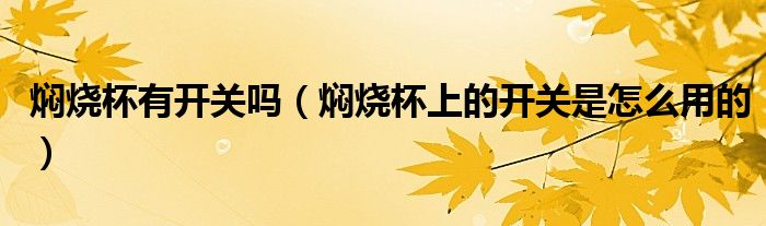 燜燒杯有開關(guān)嗎（燜燒杯上的開關(guān)是怎么用的）