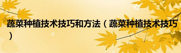 蔬菜種植技術(shù)技巧和方法（蔬菜種植技術(shù)技巧）