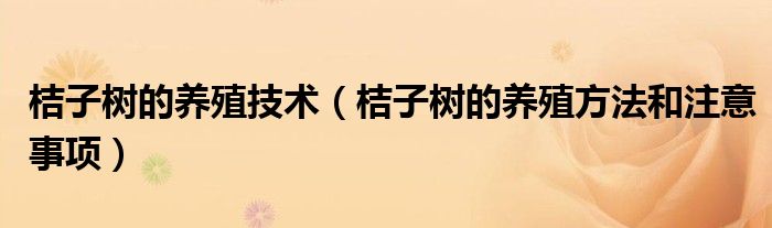 桔子樹的養(yǎng)殖技術(shù)（桔子樹的養(yǎng)殖方法和注意事項）