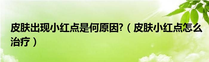 皮膚出現(xiàn)小紅點是何原因?（皮膚小紅點怎么治療）