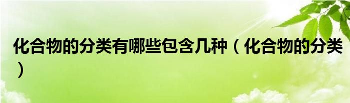 化合物的分類有哪些包含幾種（化合物的分類）