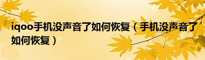 iqoo手機(jī)沒聲音了如何恢復(fù)（手機(jī)沒聲音了如何恢復(fù)）