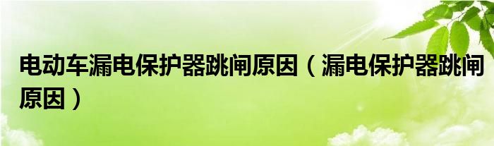 電動車漏電保護器跳閘原因（漏電保護器跳閘原因）