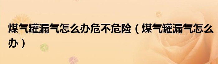 煤氣罐漏氣怎么辦危不危險（煤氣罐漏氣怎么辦）