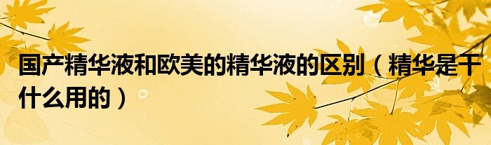 國產精華液和歐美的精華液的區(qū)別（精華是干什么用的）