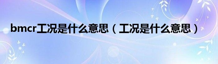 bmcr工況是什么意思（工況是什么意思）