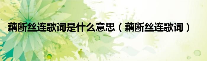 藕斷絲連歌詞是什么意思（藕斷絲連歌詞）