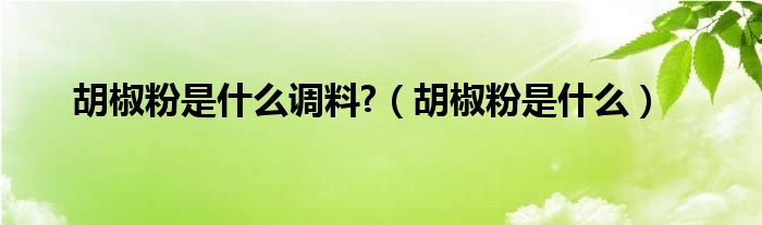 胡椒粉是什么調(diào)料?（胡椒粉是什么）