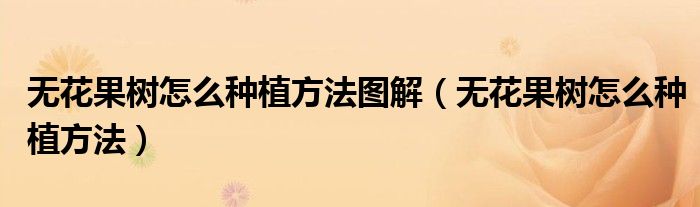 無(wú)花果樹(shù)怎么種植方法圖解（無(wú)花果樹(shù)怎么種植方法）