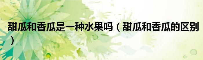 甜瓜和香瓜是一種水果嗎（甜瓜和香瓜的區(qū)別）