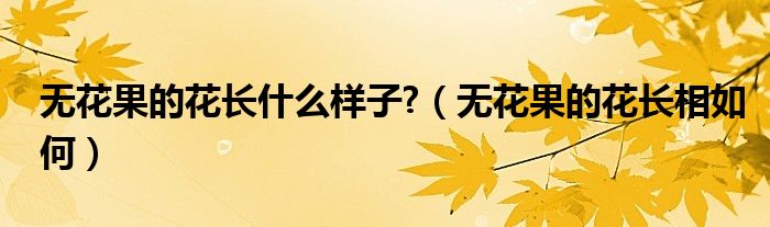 無(wú)花果的花長(zhǎng)什么樣子?（無(wú)花果的花長(zhǎng)相如何）