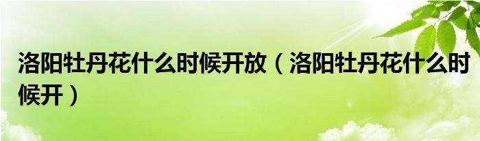 洛陽牡丹花什么時候開放（洛陽牡丹花什么時候開）