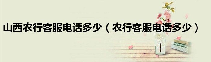 山西農(nóng)行客服電話多少（農(nóng)行客服電話多少）