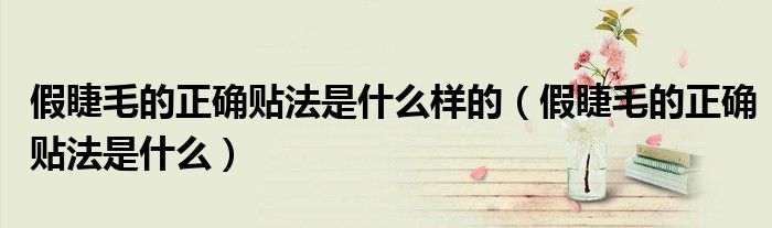 假睫毛的正確貼法是什么樣的（假睫毛的正確貼法是什么）