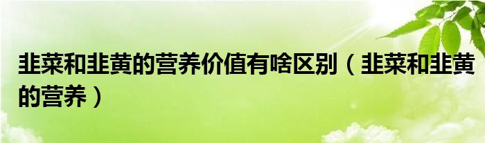 韭菜和韭黃的營養(yǎng)價值有啥區(qū)別（韭菜和韭黃的營養(yǎng)）