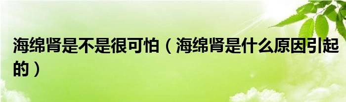 海綿腎是不是很可怕（海綿腎是什么原因引起的）