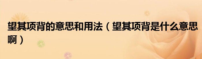 望其項(xiàng)背的意思和用法（望其項(xiàng)背是什么意思?。? />
                                         </a>
                                    </div>
                                 <div   id=