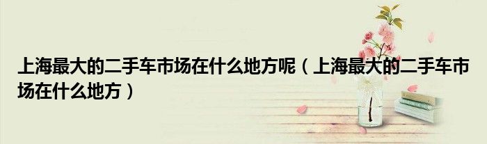上海最大的二手車市場在什么地方呢（上海最大的二手車市場在什么地方）
