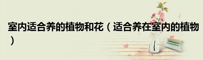 室內(nèi)適合養(yǎng)的植物和花（適合養(yǎng)在室內(nèi)的植物）