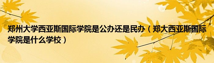鄭州大學(xué)西亞斯國際學(xué)院是公辦還是民辦（鄭大西亞斯國際學(xué)院是什么學(xué)校）