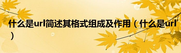 什么是url簡(jiǎn)述其格式組成及作用（什么是url）