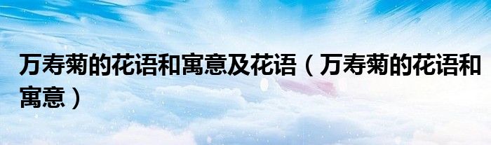 萬壽菊的花語和寓意及花語（萬壽菊的花語和寓意）