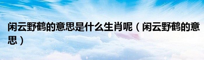 閑云野鶴的意思是什么生肖呢（閑云野鶴的意思）