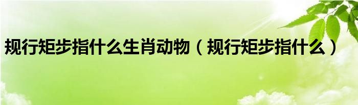 規(guī)行矩步指什么生肖動物（規(guī)行矩步指什么）