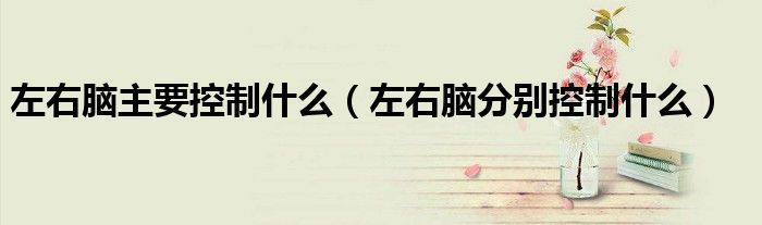 左右腦主要控制什么（左右腦分別控制什么）