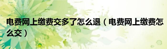 電費(fèi)網(wǎng)上繳費(fèi)交多了怎么退（電費(fèi)網(wǎng)上繳費(fèi)怎么交）