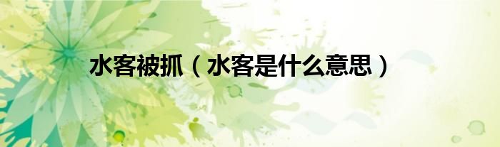 水客被抓（水客是什么意思）