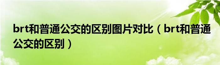 brt和普通公交的區(qū)別圖片對比（brt和普通公交的區(qū)別）