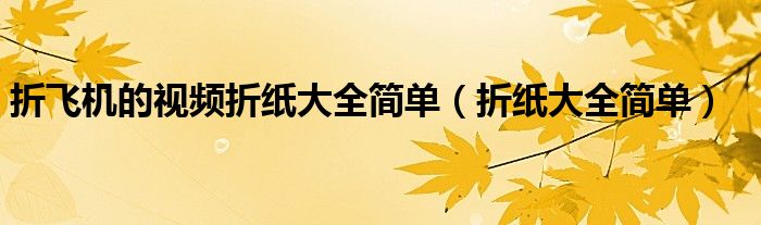 折飛機的視頻折紙大全簡單（折紙大全簡單）