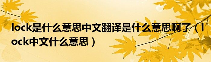 lock是什么意思中文翻譯是什么意思啊了（lock中文什么意思）