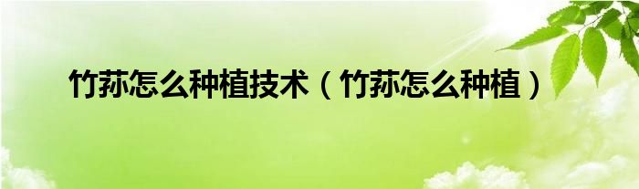 竹蓀怎么種植技術(shù)（竹蓀怎么種植）