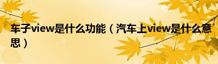 車子view是什么功能（汽車上view是什么意思）