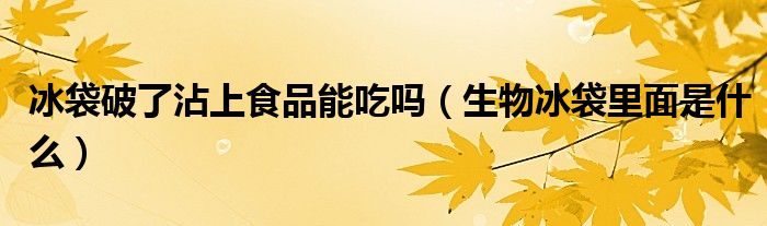 冰袋破了沾上食品能吃嗎（生物冰袋里面是什么）