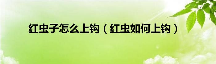 紅蟲子怎么上鉤（紅蟲如何上鉤）