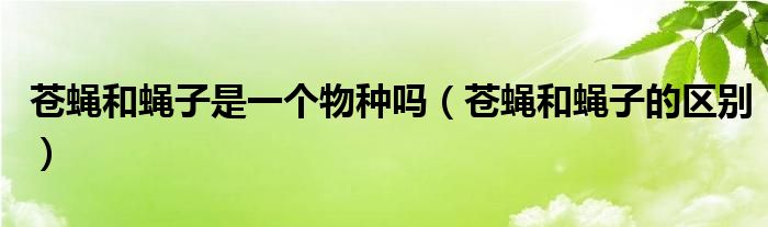 蒼蠅和蠅子是一個物種嗎（蒼蠅和蠅子的區(qū)別）